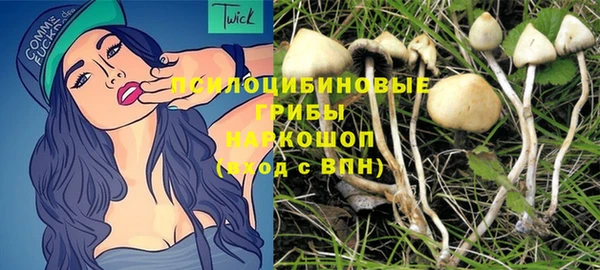 меф Горнозаводск