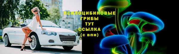 эйфоретик Гусев
