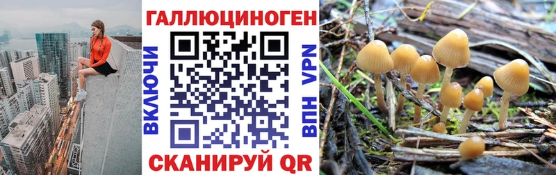 Псилоцибиновые грибы Magic Shrooms  это официальный сайт  Гороховец  цена  